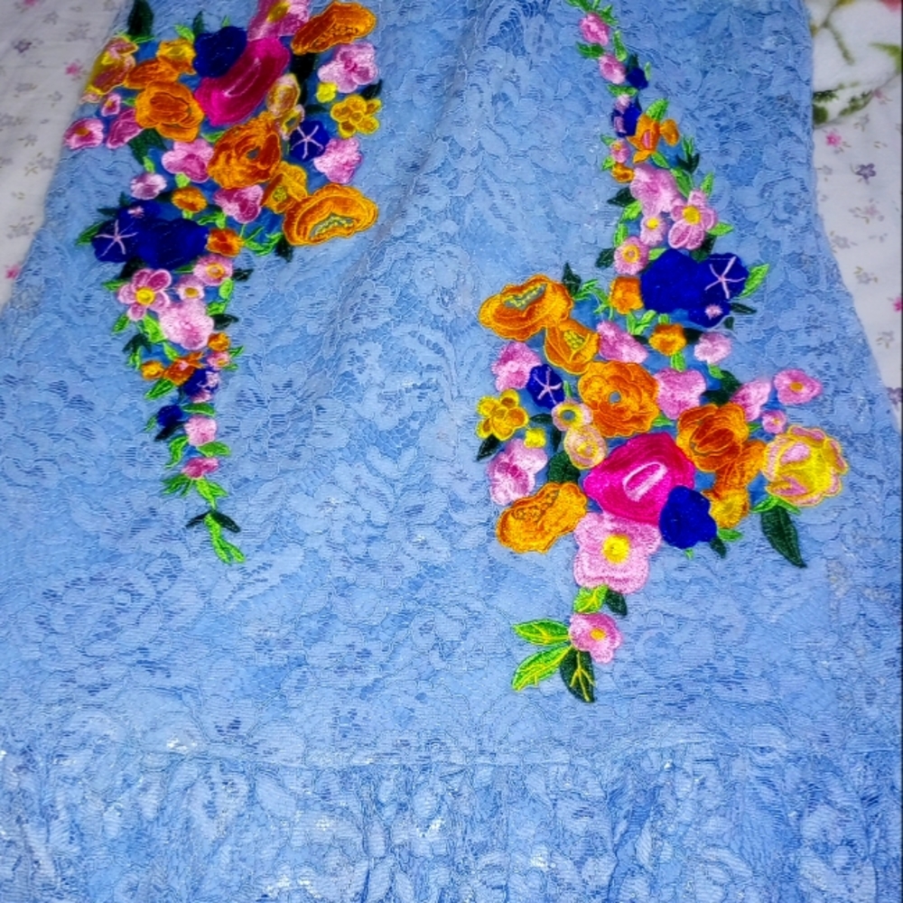 Darian dress Size 12. French Lace. Beautiful.